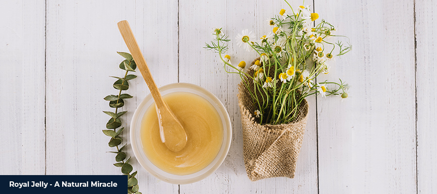 Royal Jelly – A Natural Miracle